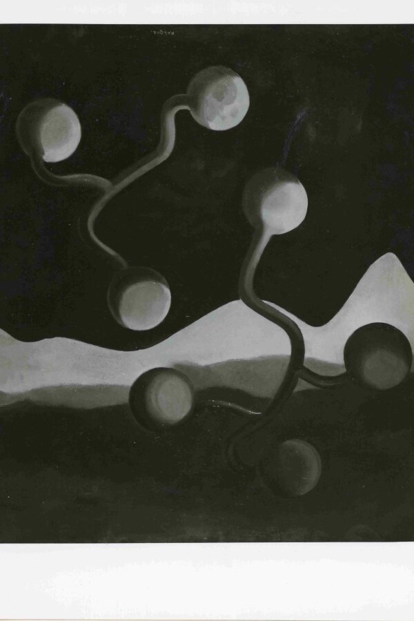 dílo L´appel des gouffres, olej, foto: M. Broeckaert